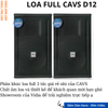 Loa Full CAVS 12 Seri