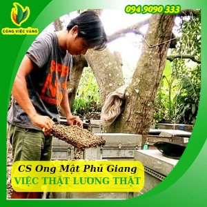 Cơ Sở Nuôi Ong Mật Phú Giang Tuyển LĐPT Thu Nhập 5 – 10 Triệu