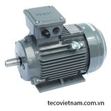 Động cơ điện Teco chân đế  0.75-45kw /750 RPM