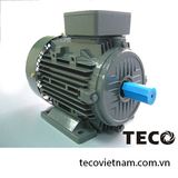 Động cơ điện Teco kiểu chân đế 55-315Kw /750RPM