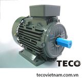 Động cơ điện Teco, (55-375 kw /1500 RPM)