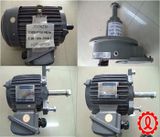 Motor tháp giải nhiệt Liangchi