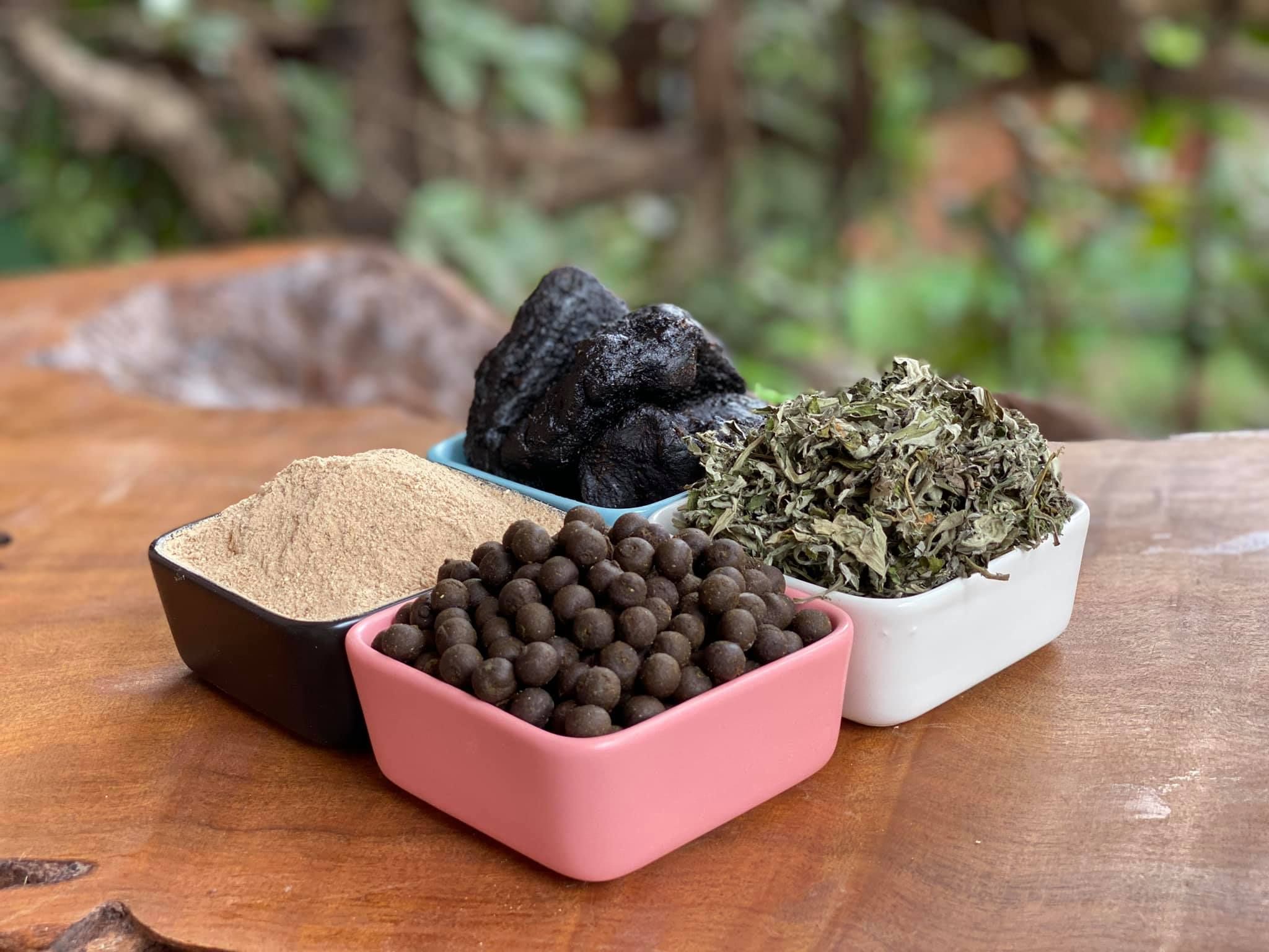 VIÊN NGẢI CỨU