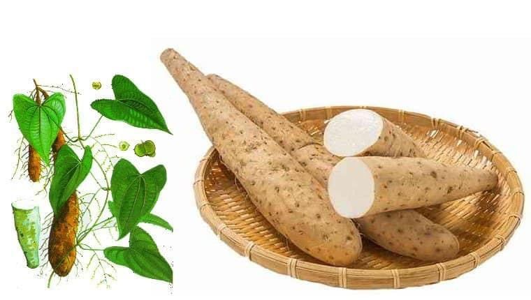 BỘT CỦ MÀI