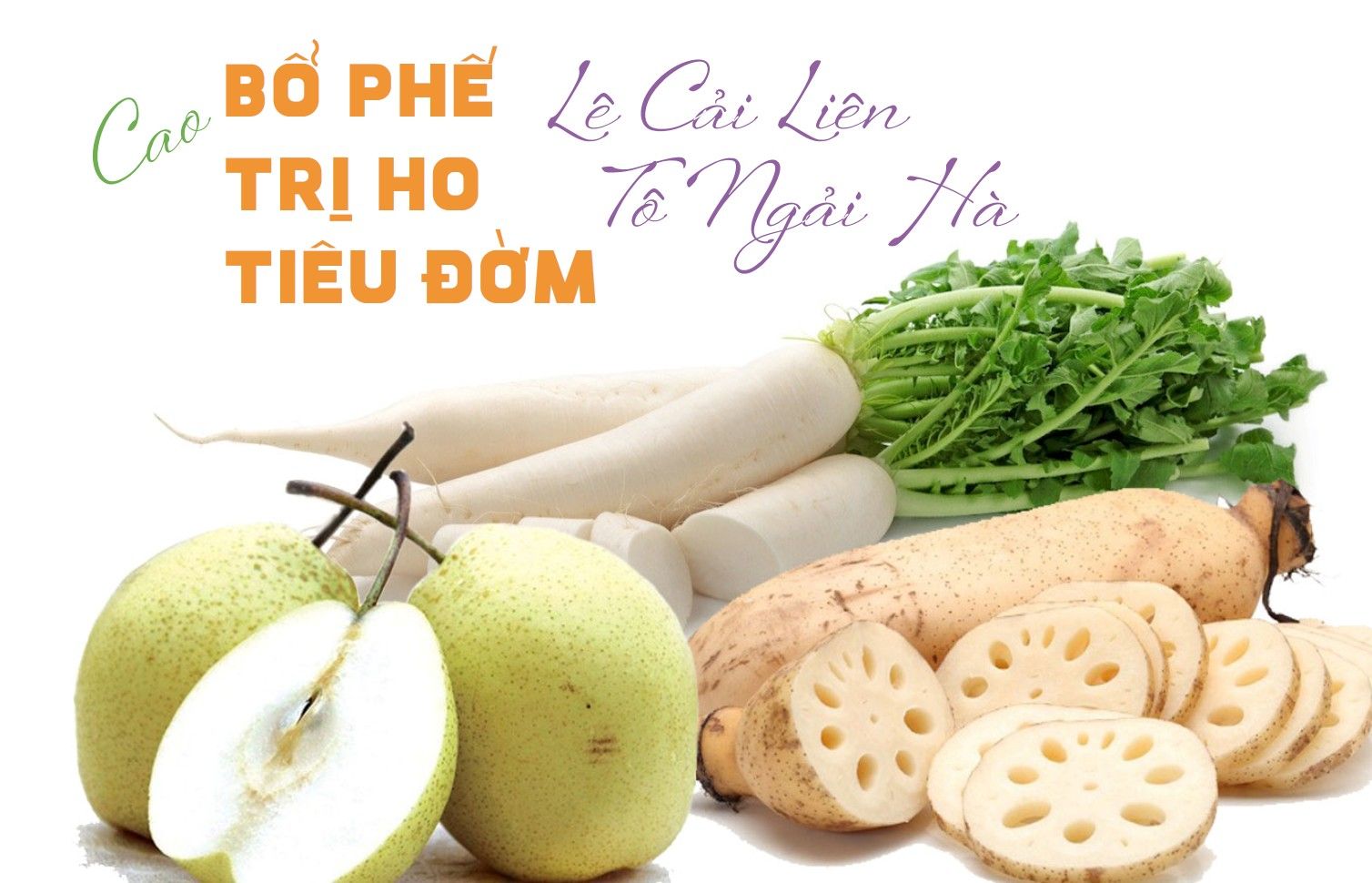 CAO BỔ PHẾ TRỊ HO ĐỜM