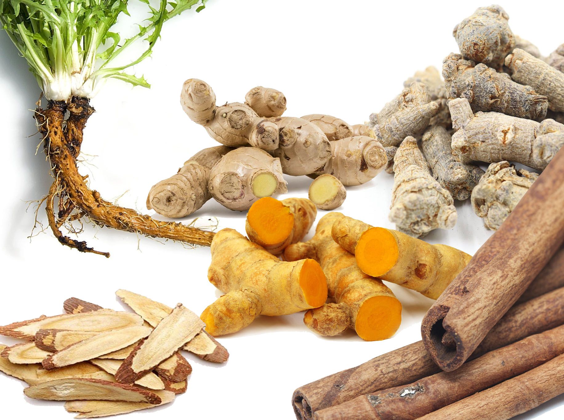 THẢI ĐỘC TIÊU VIÊM BỔ KHÍ HUYẾT