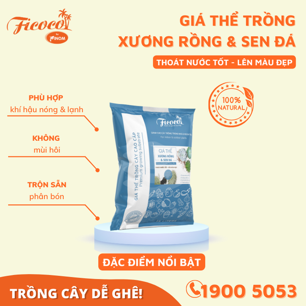 GIÁ THỂ TRỒNG XƯƠNG RỒNG & SEN ĐÁ - 15L