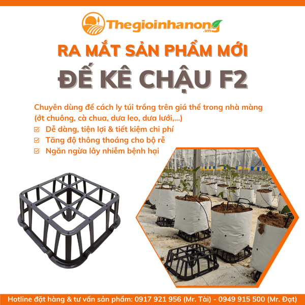 ĐẾ KÊ CHẬU F2