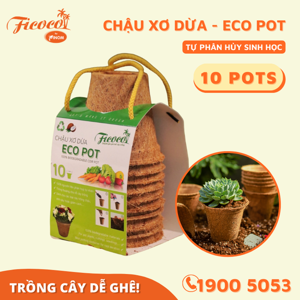 CHẬU XƠ DỪA ECO POT - 10 CHẬU