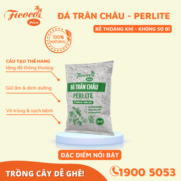 ĐÁ PERLITE (TRÂN CHÂU) - 5L