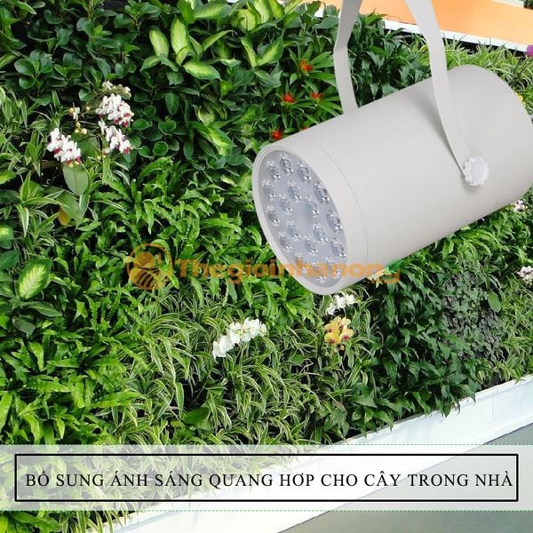 Đèn LED ray dạng ống cho cây