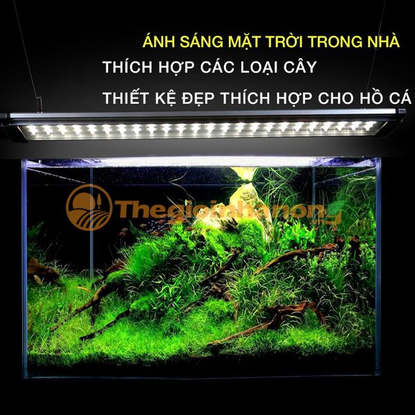 Đèn LED hồ cá thuỷ sinh siêu mỏng