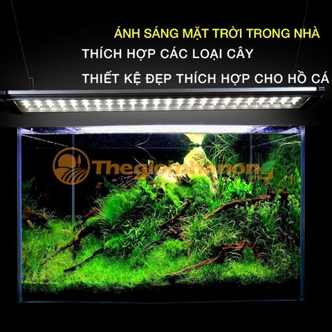 Đèn LED hồ cá thuỷ sinh siêu mỏng