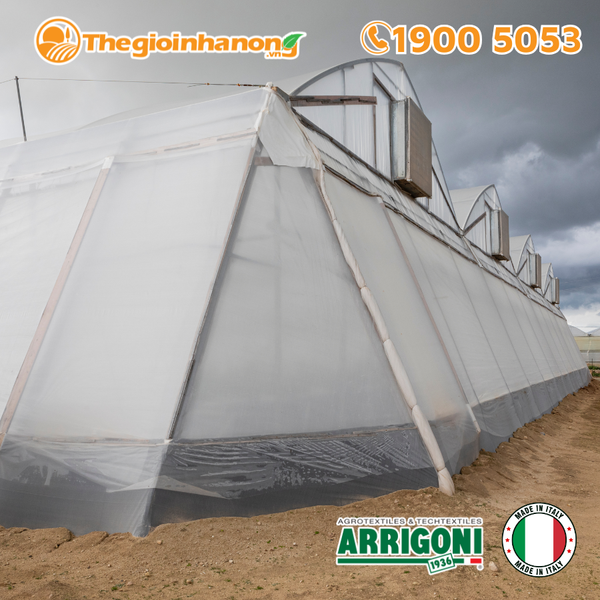 Best Rugs For Minimalistic Homes & Neutral Carpet Ideas