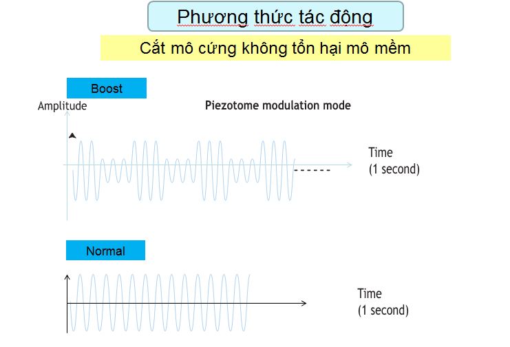 Trong-rang-implant-khong-dau-tai-nha-khoa-Nhan-Tam