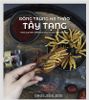 CON ĐÔNG TRÙNG TÂY TẠNG-05GR (SIZE A+ 20 CON)