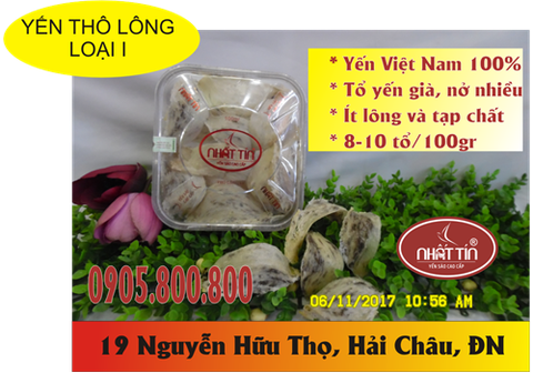  YẾN THÔ LÔNG TỔ LOẠI I (100Gr) 