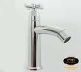  Vòi Lavabo lạnh cao nhựa ABS mạ Chrome Eurolife EL-LA01 