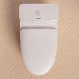 Bồn cầu 1 khối Eurolife EL-LUX8288