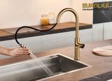 Vòi rửa chén nóng lạnh dây kéo, 4 chức năng sử dụng Eurolife EL-IK02 (Vàng)