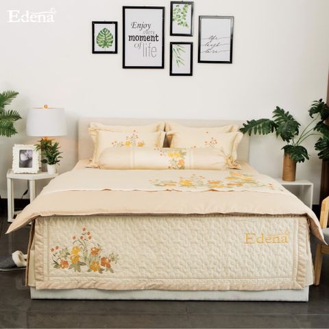 Bộ Ra Edena Cotton Đặc Biệt 527