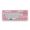 BÀN PHÍM CƠ AKKO WORLD TOUR TOKYO 3087 TKL V2 PINK SWITCH