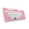 BÀN PHÍM CƠ AKKO WORLD TOUR TOKYO 3087 TKL V2 PINK SWITCH