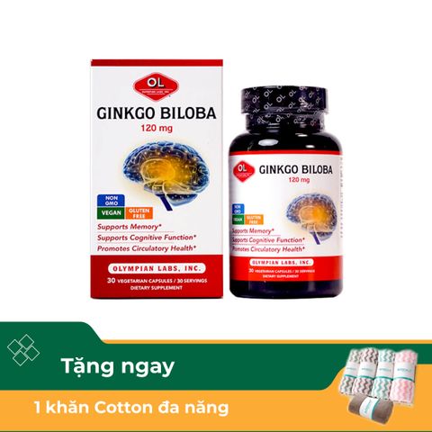 Thực phẩm bảo vệ sức khoẻ viên nang Ginkgo Biloba 120MG