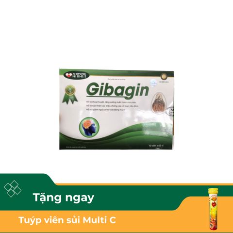 Thực phẩm bảo vệ sức khoẻ Gibagin