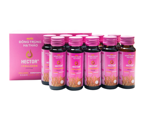  NƯỚC ĐÔNG TRÙNG HẠ THẢO HECTOR COLLAGEN 