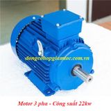 Cung cấp Mô tơ điện 3 pha 22kw kiểu chân đế