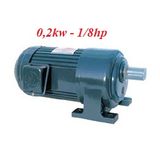 Motor giảm tốc chân đế 0,2Kw - 1/4Hp chất lượng