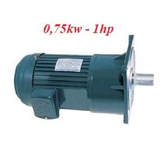 Motor giảm tốc mặt bích 0,75Kw 1Hp