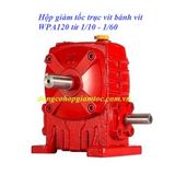 WPA120 Giảm tốc vuông góc trục vít bánh vít