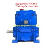 Hộp giảm tốc trục vít bánh vít WPA175