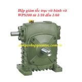 Hộp giảm tốc trục vít bánh vít WPS100