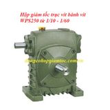 Hộp giảm tốc trục vít WPS250