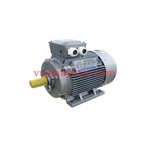 Động Cơ Điện 3 Pha 0.75HP 0.55Kw 8 Cực Điện