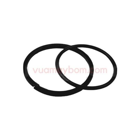 Glyd Ring Assy P50-104C