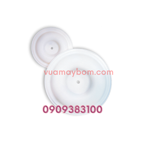 Màng bơm TDS DS03 PB000036 (3/8″, Teflon)