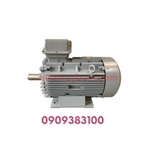 Motor điện Hitachi Nhật 45kw - 4P - 3 PHA