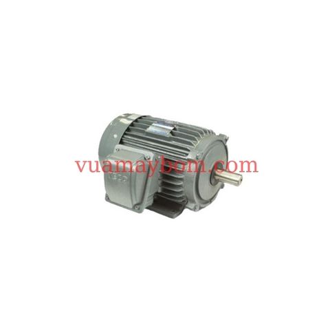 Motor Teco 40Hp 30Kw