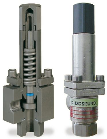 Van an toàn Doseuro- Safety relief valve