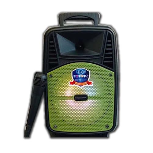 Loa kéo di động Karaoke LT-806C