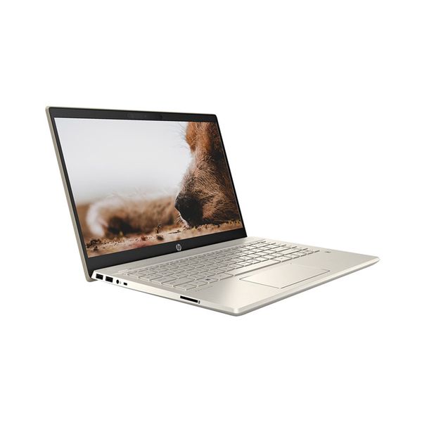 Laptop HP Pavilion 14-dv0008TU (2D7A5PA) ( i5-1135G7/8GB RAM/512GB SSD/14 FHD/Win10/Office/Vàng)