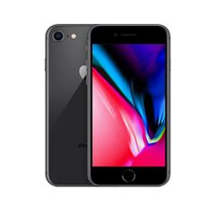 iPhone 8 64G World