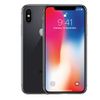 iPhone X 256G World
