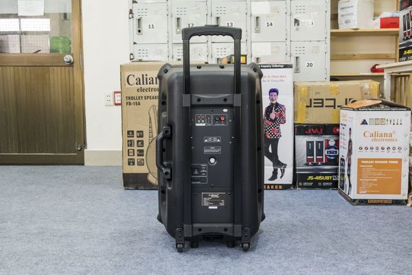 Loa kéo di động CALIANA TN15 + 2 Mic