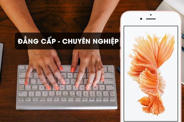 iPhone 6s Plus 64G World - TBH