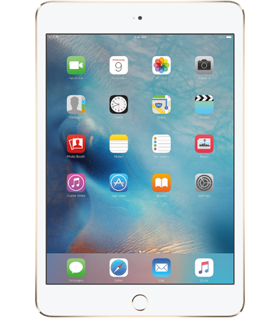 iPad Mini 4 4G 16G